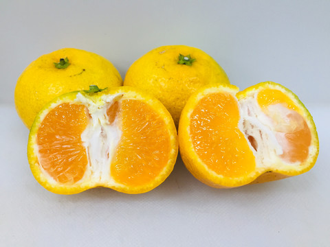 蜜橘
