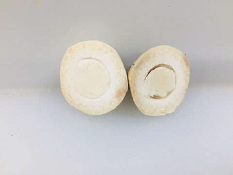 草菇
