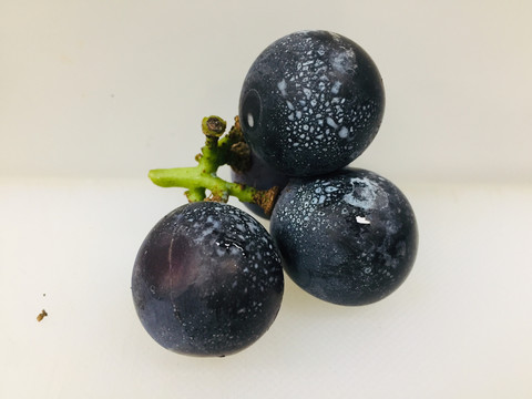 巨峰葡萄