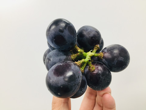 巨峰葡萄