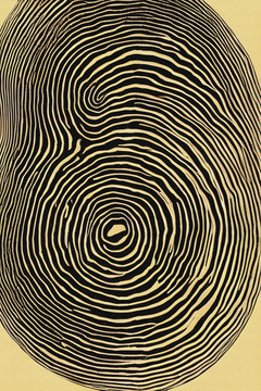 年轮线条装饰画