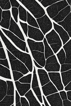 手绘抽象树叶黑白肌理装饰画