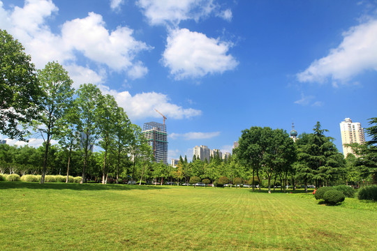 日照市政府广场风光