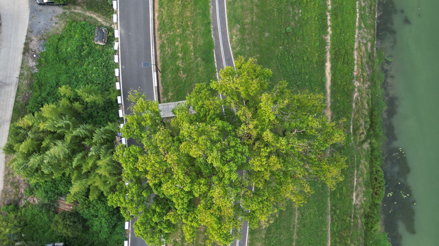 乡村旅游公路河流