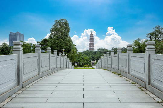 广州地标建筑琶洲塔和石桥