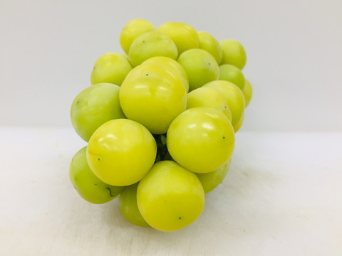 香印青提