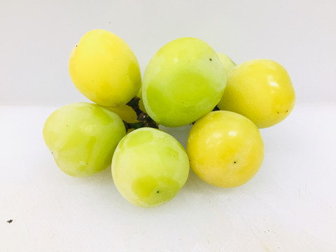 香印青提