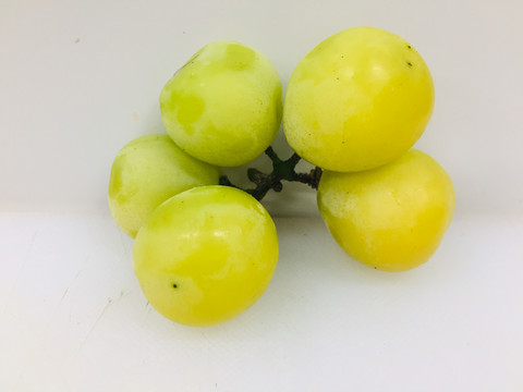 香印青提