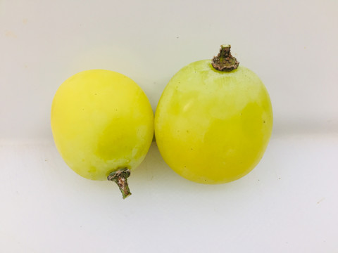 香印青提