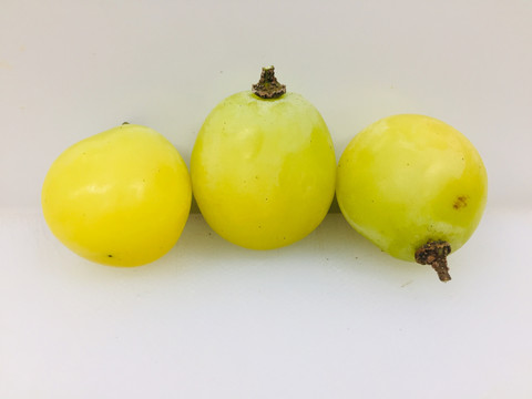 香印青提