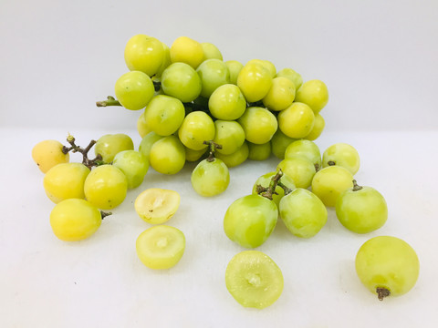 香印青提