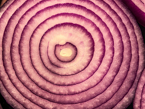 紫皮洋葱