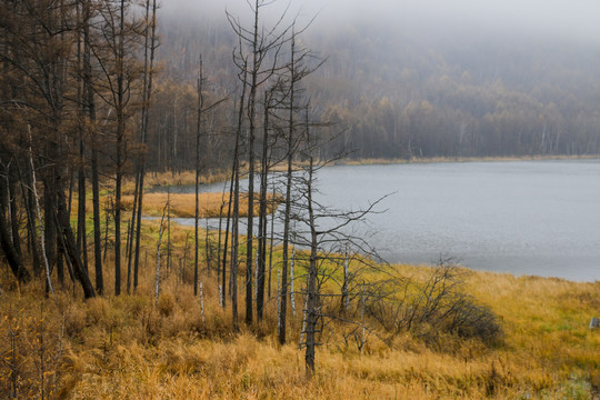 中国东北兴安盟阿尔山秋天风景