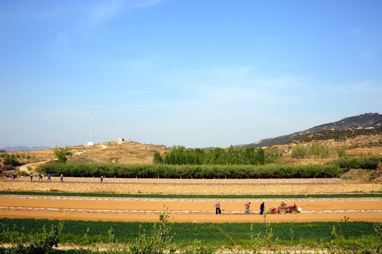 春耕情景