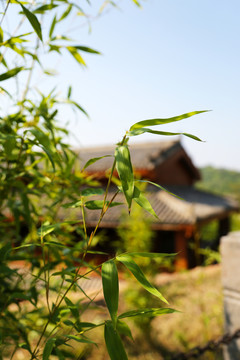 仿古建筑