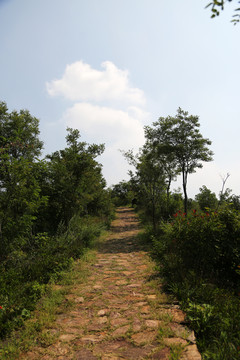 登山石板路