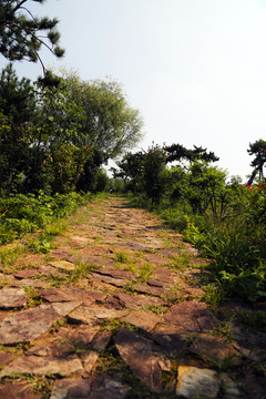 石块路面