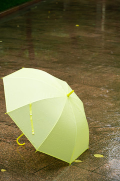 雨伞雨天下雨