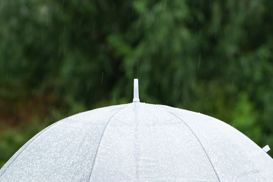 雨伞雨天下雨