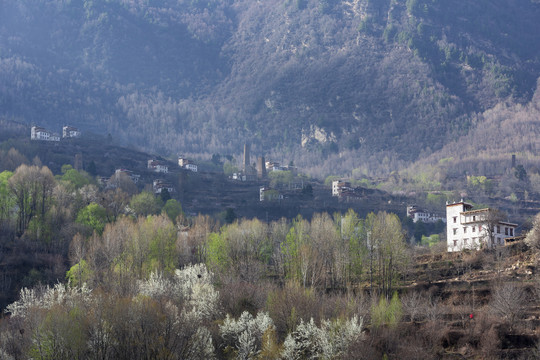 阿坝州金川中路藏寨春天风景