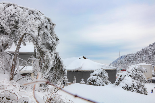 庐山雪景