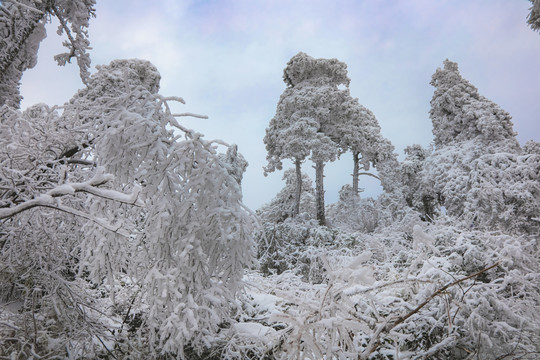 庐山雪景