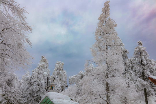庐山小天池雪景