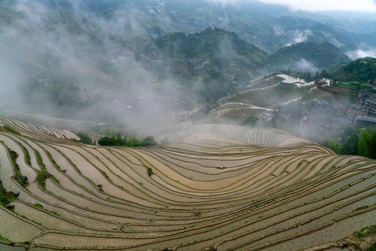 龙胜梯田