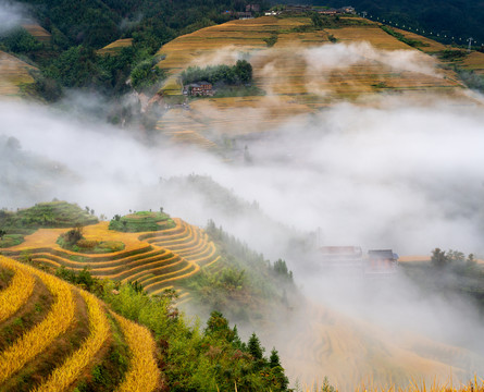 龙胜梯田