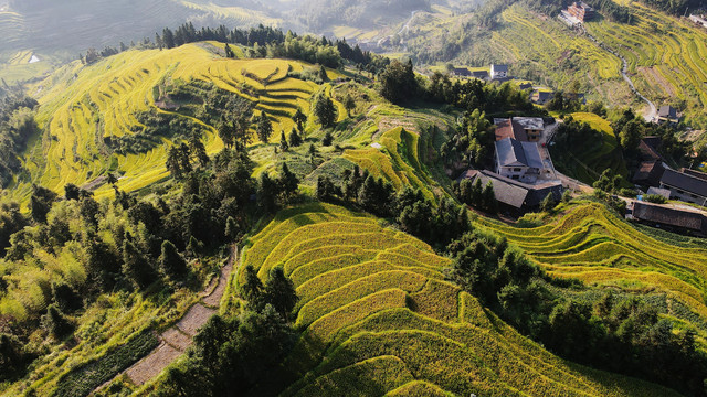 紫鹊界乡村振兴户外广告秋景