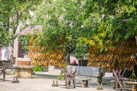 陕北农村小院