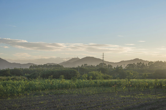 闽南田园风景