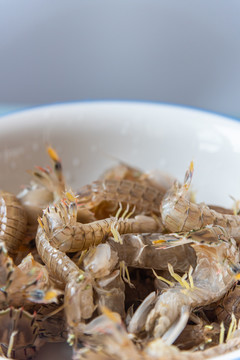 白色瓷盆里的新鲜皮皮虾