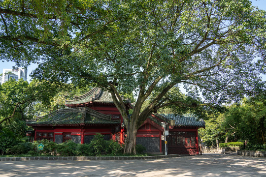 重庆渝中区鹅岭公园