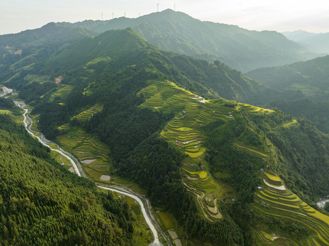 加榜梯田