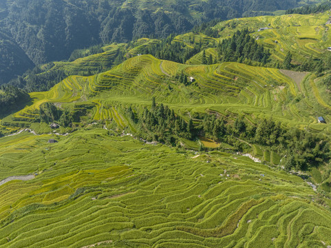 加榜梯田