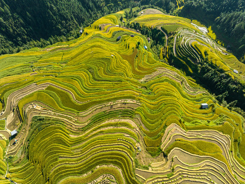 加榜梯田