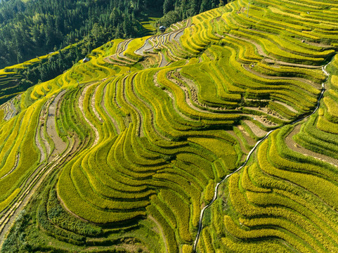 加榜梯田