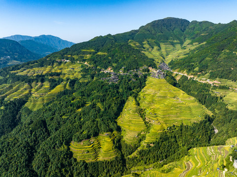 加榜梯田