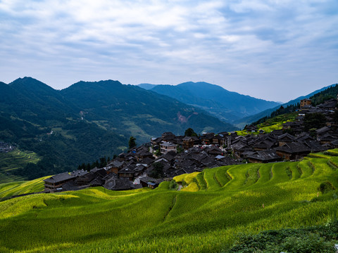 加榜梯田