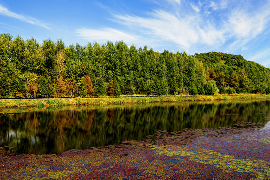 秋色森林湖水