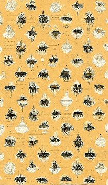 蜜蜂复古印花图案