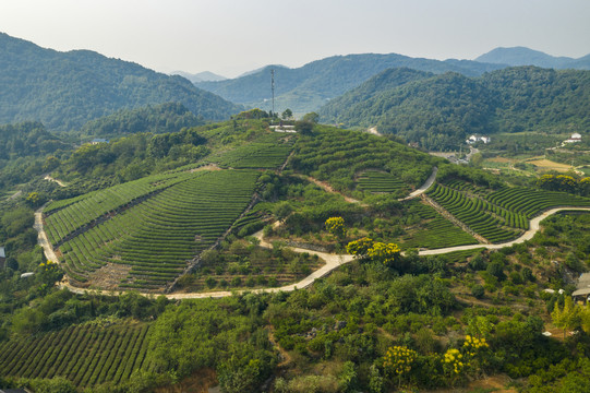 茶山航拍