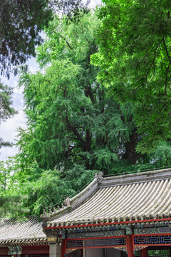 北京门头沟区潭柘寺景区风光