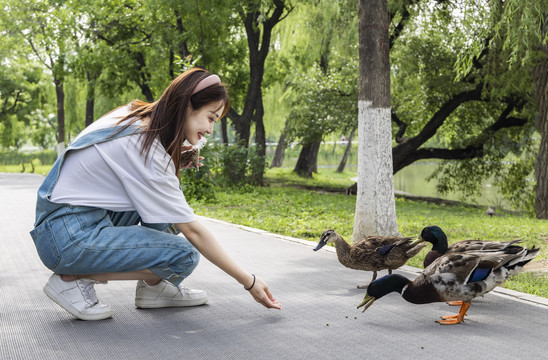 在公园里喂鸭子的甜美东方女孩