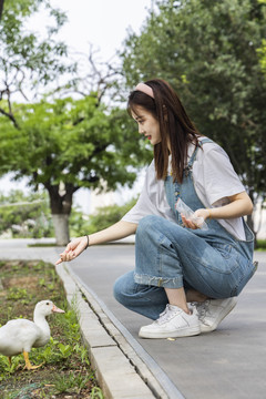 在公园里喂鸭子的甜美东方女孩