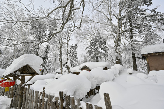 冬天雪屋雪森林雪景