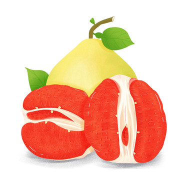手绘红心柚子秋季新鲜水果素材