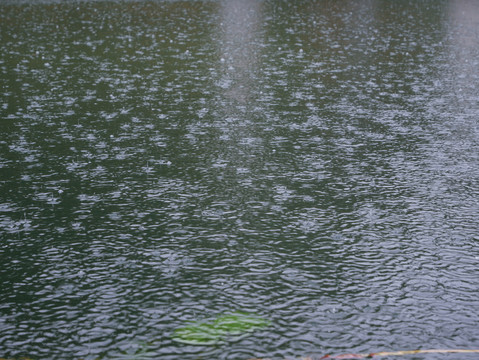 雨中水面