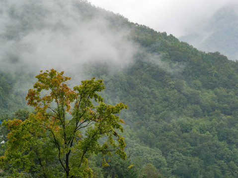 云雾袅绕山景